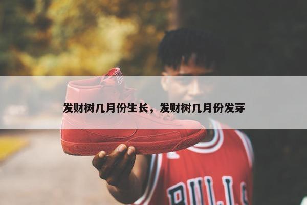 发财树几月份生长，发财树几月份发芽