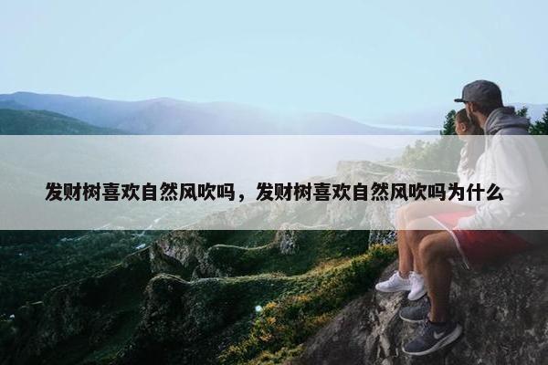 发财树喜欢自然风吹吗，发财树喜欢自然风吹吗为什么