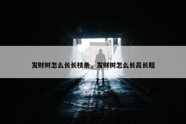 发财树怎么长长枝条，发财树怎么长高长粗