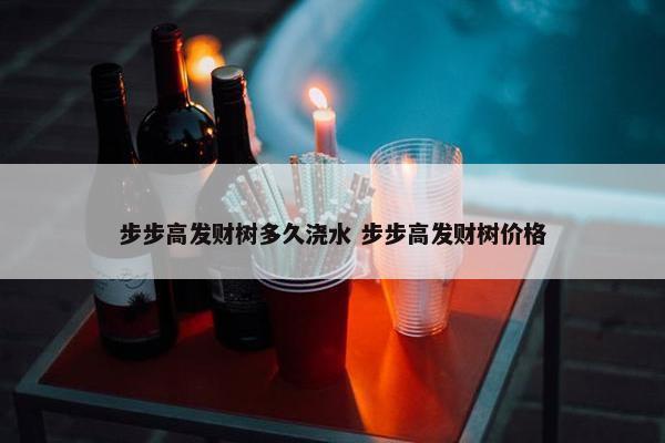 步步高发财树多久浇水 步步高发财树价格