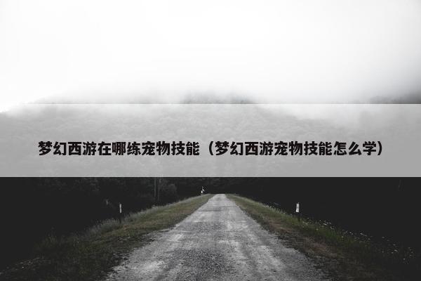 梦幻西游在哪练宠物技能（梦幻西游宠物技能怎么学）