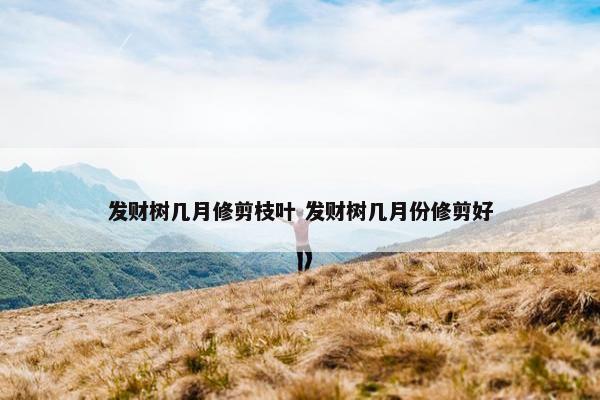 发财树几月修剪枝叶 发财树几月份修剪好