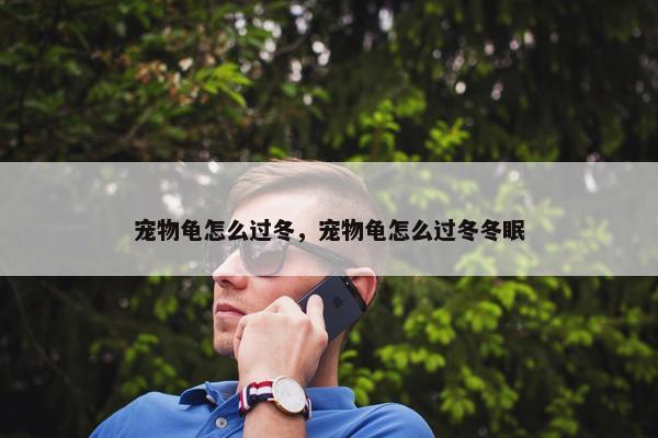 宠物龟怎么过冬，宠物龟怎么过冬冬眠