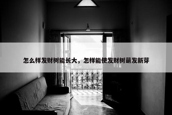 怎么样发财树能长大，怎样能使发财树萌发新芽