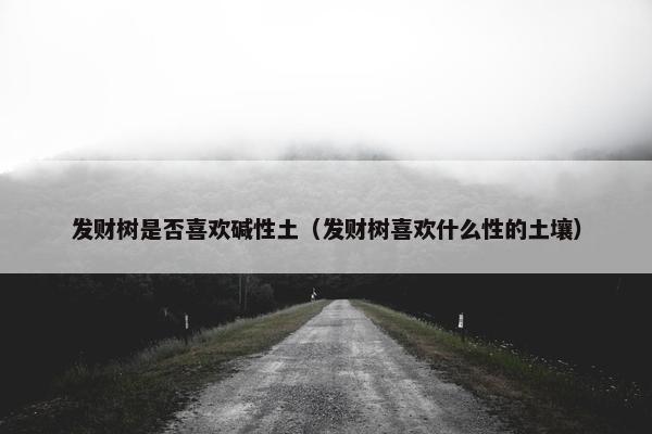 发财树是否喜欢碱性土（发财树喜欢什么性的土壤）