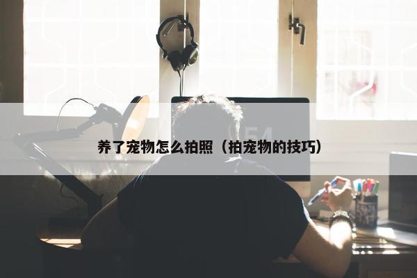 养了宠物怎么拍照（拍宠物的技巧）