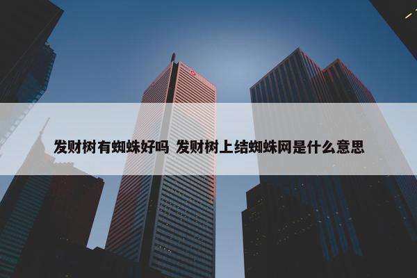 发财树有蜘蛛好吗 发财树上结蜘蛛网是什么意思