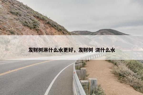 发财树淋什么水更好，发财树 浇什么水