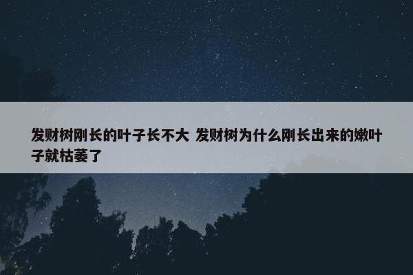 发财树刚长的叶子长不大 发财树为什么刚长出来的嫩叶子就枯萎了