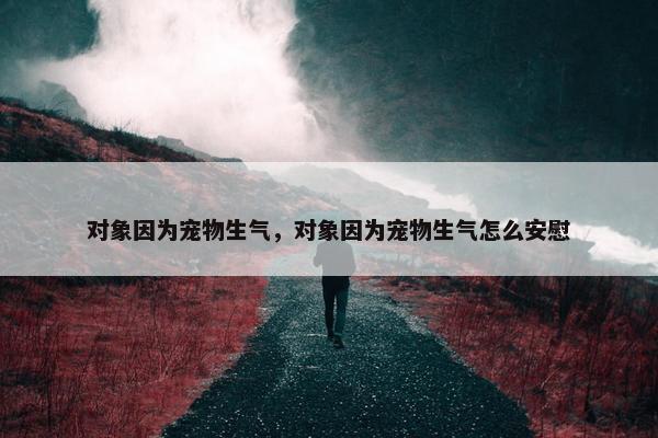 对象因为宠物生气，对象因为宠物生气怎么安慰