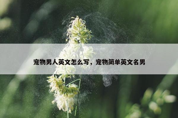 宠物男人英文怎么写，宠物简单英文名男