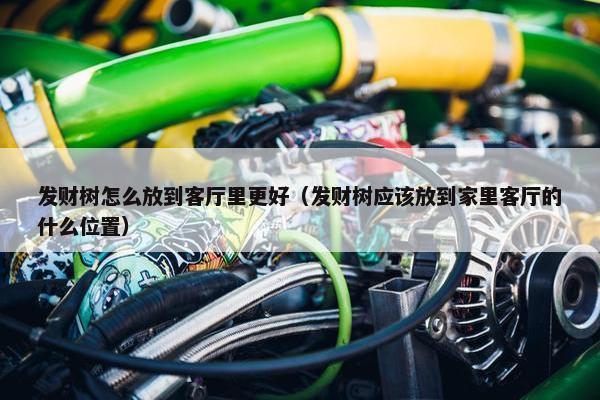 发财树怎么放到客厅里更好（发财树应该放到家里客厅的什么位置）