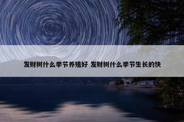 发财树什么季节养殖好 发财树什么季节生长的快