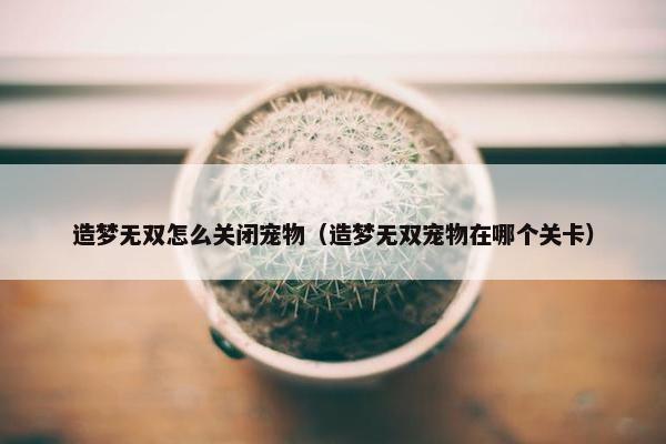 造梦无双怎么关闭宠物（造梦无双宠物在哪个关卡）