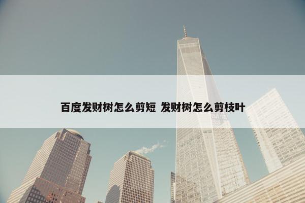 百度发财树怎么剪短 发财树怎么剪枝叶