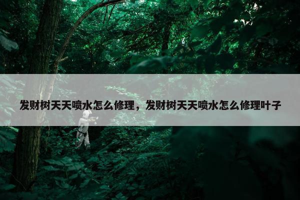 发财树天天喷水怎么修理，发财树天天喷水怎么修理叶子