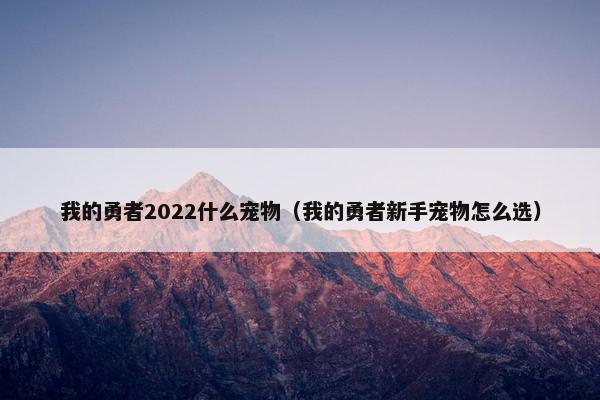 我的勇者2022什么宠物（我的勇者新手宠物怎么选）