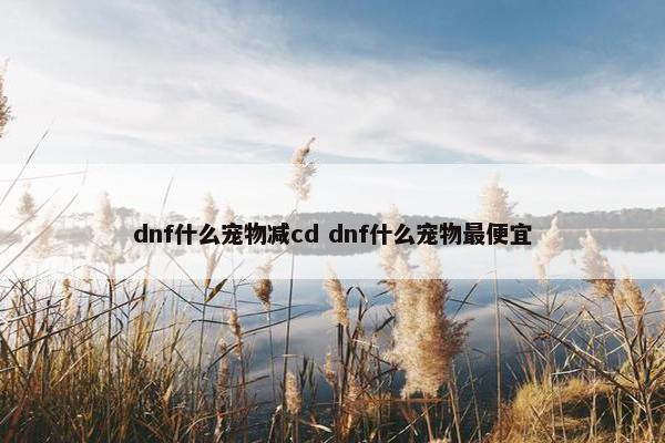 dnf什么宠物减cd dnf什么宠物最便宜