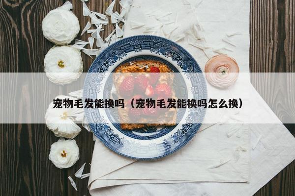 宠物毛发能换吗（宠物毛发能换吗怎么换）