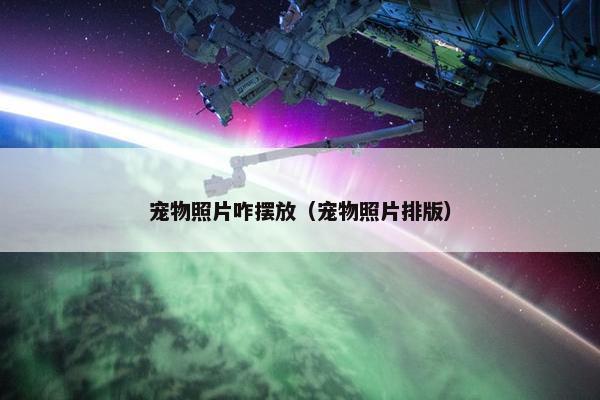 宠物照片咋摆放（宠物照片排版）