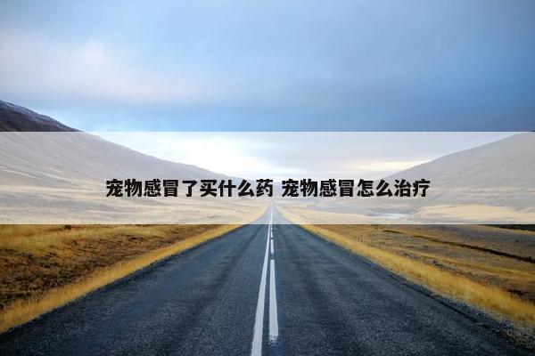 宠物感冒了买什么药 宠物感冒怎么治疗