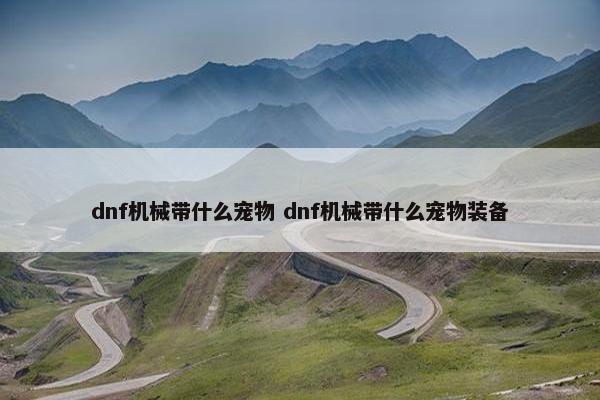 dnf机械带什么宠物 dnf机械带什么宠物装备