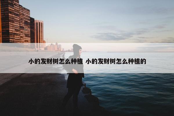 小的发财树怎么种植 小的发财树怎么种植的