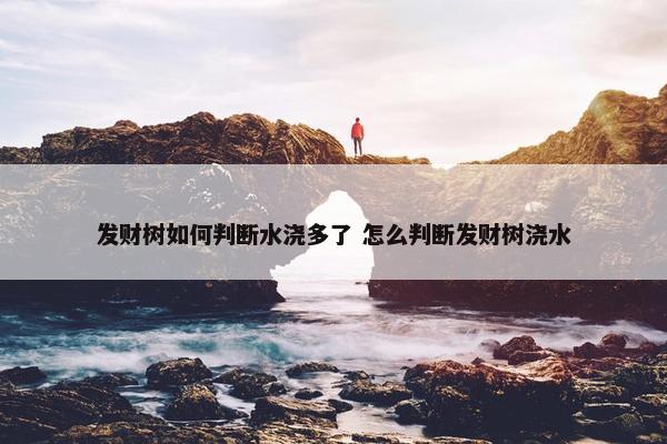 发财树如何判断水浇多了 怎么判断发财树浇水