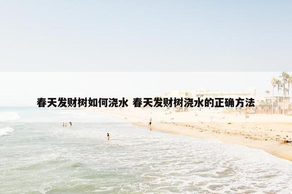 春天发财树如何浇水 春天发财树浇水的正确方法