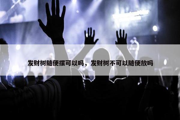 发财树随便摆可以吗，发财树不可以随便放吗