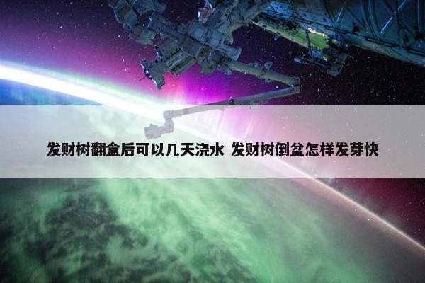 发财树翻盒后可以几天浇水 发财树倒盆怎样发芽快