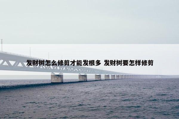 发财树怎么修剪才能发根多 发财树要怎样修剪