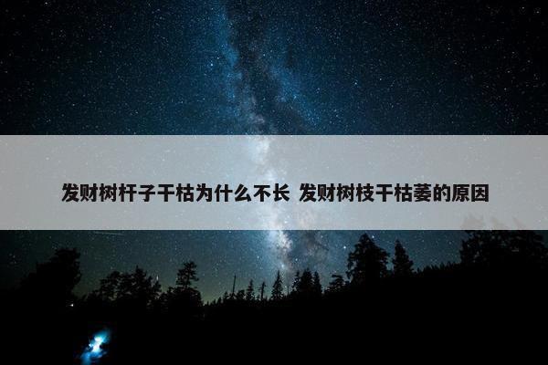 发财树杆子干枯为什么不长 发财树枝干枯萎的原因