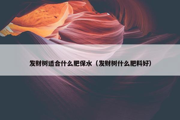 发财树适合什么肥保水（发财树什么肥料好）