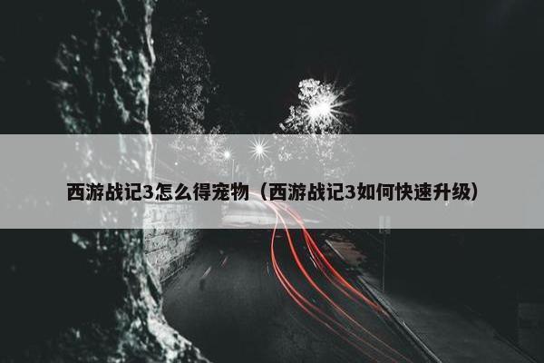 西游战记3怎么得宠物（西游战记3如何快速升级）