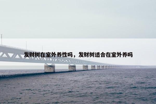 发财树在室外养性吗，发财树适合在室外养吗