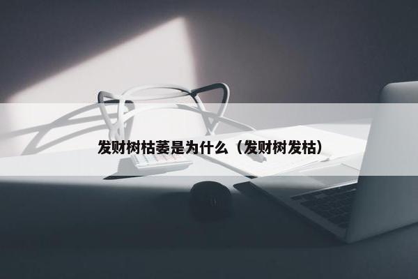 发财树枯萎是为什么（发财树发枯）