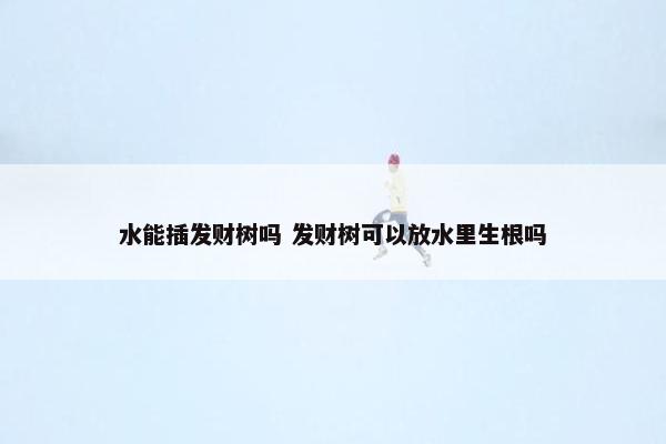 水能插发财树吗 发财树可以放水里生根吗