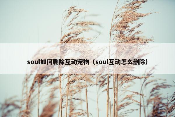 soul如何删除互动宠物（soul互动怎么删除）