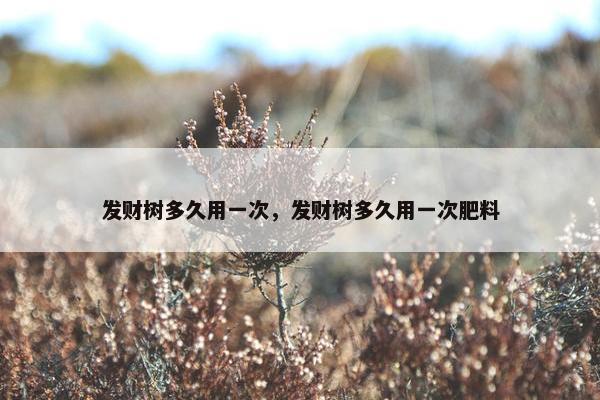 发财树多久用一次，发财树多久用一次肥料