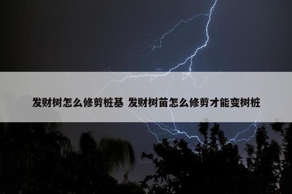 发财树怎么修剪桩基 发财树苗怎么修剪才能变树桩