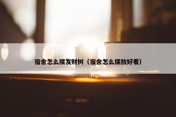 宿舍怎么摆发财树（宿舍怎么摆放好看）