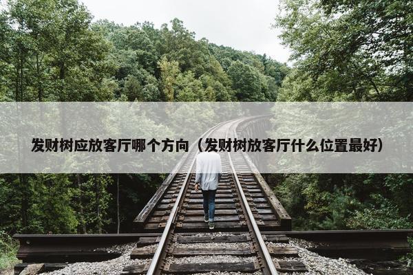 发财树应放客厅哪个方向（发财树放客厅什么位置最好）