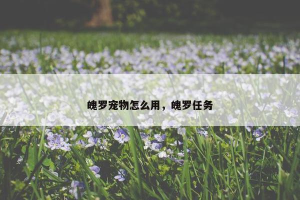 魄罗宠物怎么用，魄罗任务