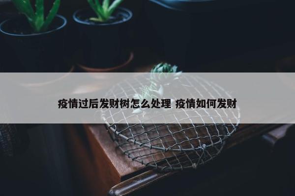 疫情过后发财树怎么处理 疫情如何发财