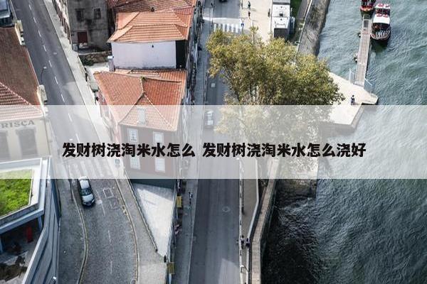 发财树浇淘米水怎么 发财树浇淘米水怎么浇好