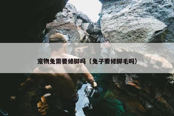 宠物兔需要修脚吗（兔子要修脚毛吗）