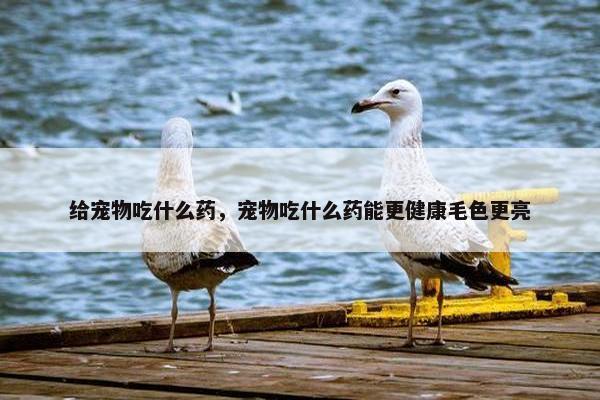 给宠物吃什么药，宠物吃什么药能更健康毛色更亮