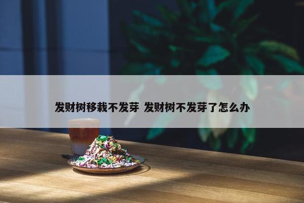 发财树移栽不发芽 发财树不发芽了怎么办