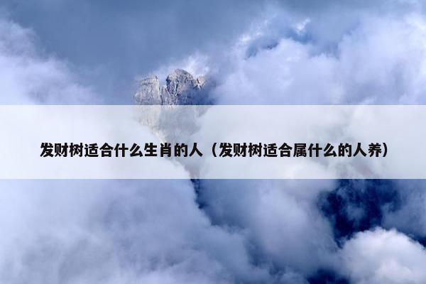 发财树适合什么生肖的人（发财树适合属什么的人养）